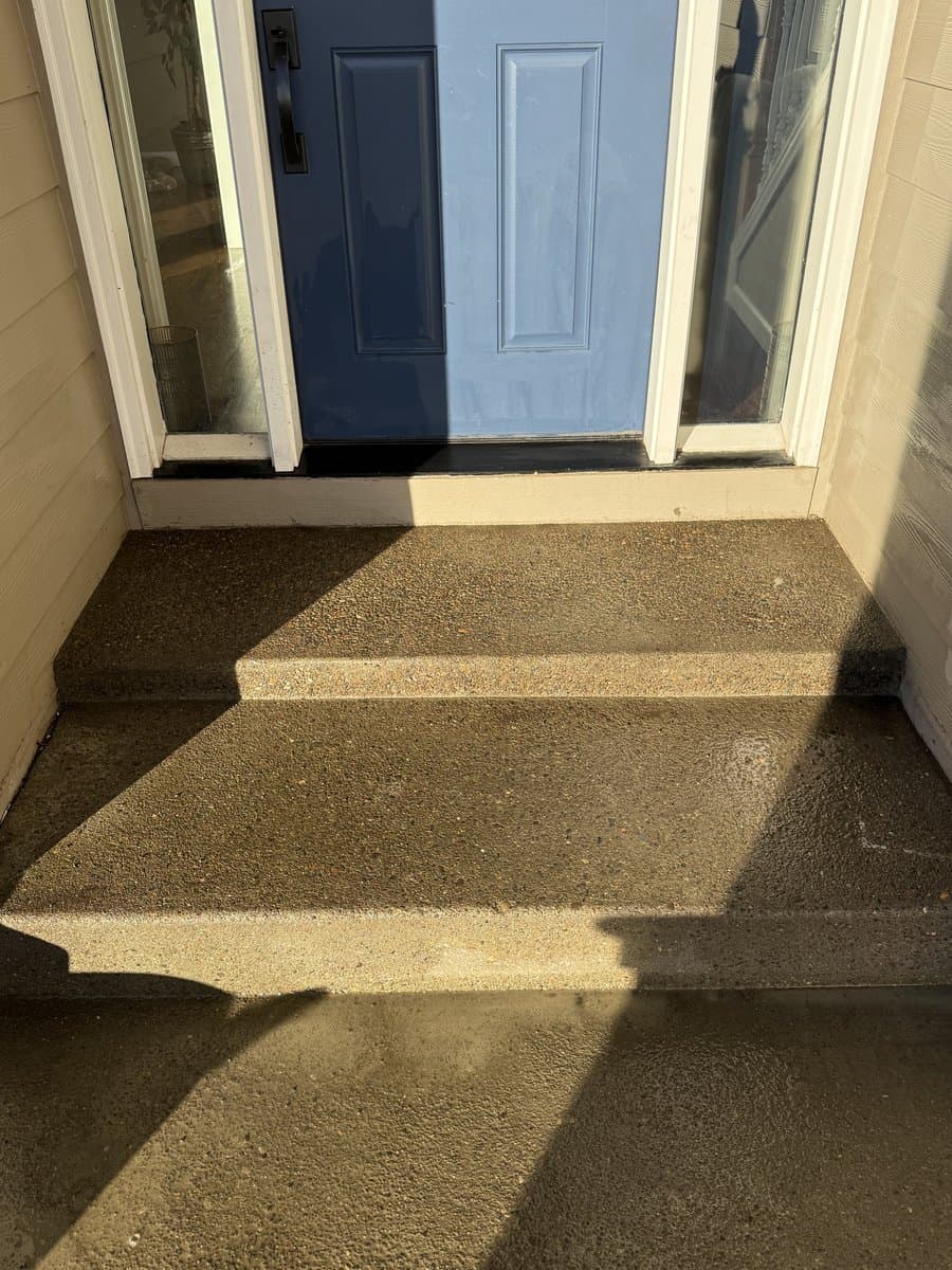 Exposed aggregate entry steps